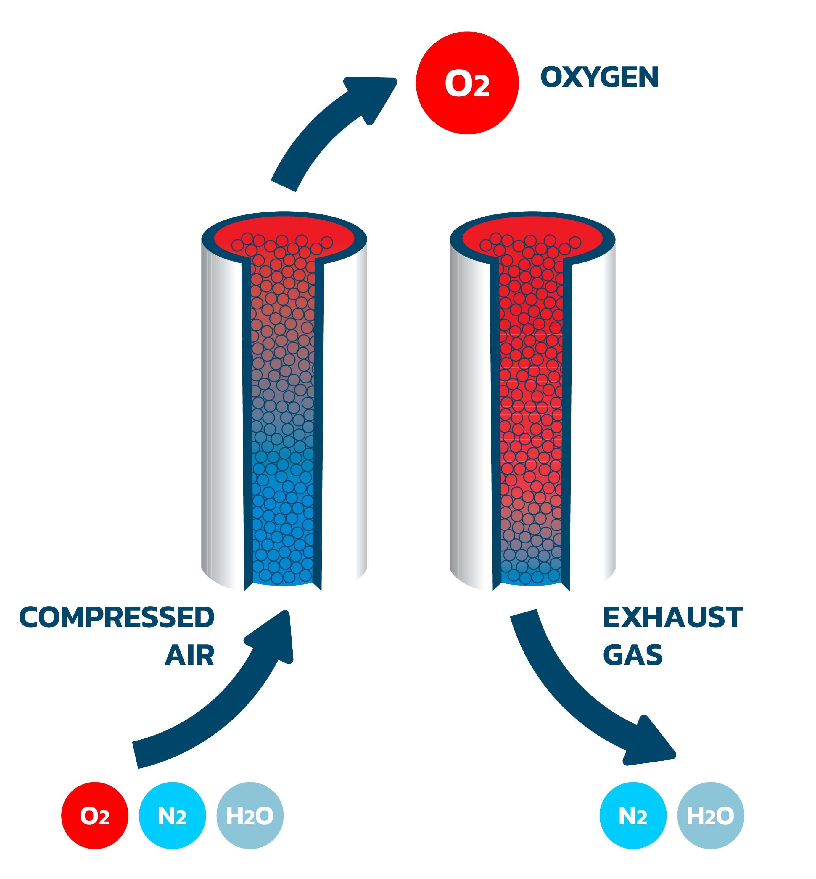 BiOXYGEN Diagram